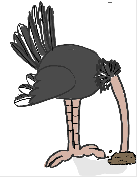 ostrich with head in the sand