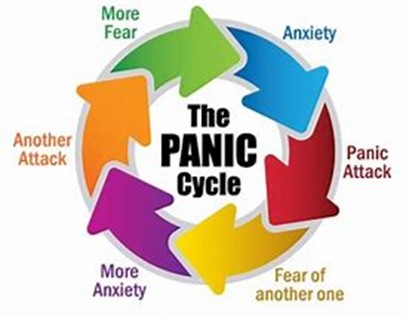 graphic of the panic cycle